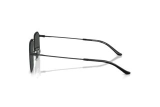 Vista laterale Emporio Armani EA2165D (300187)