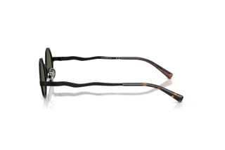 Seitenansicht Emporio Armani EA2166 (3001/2)
