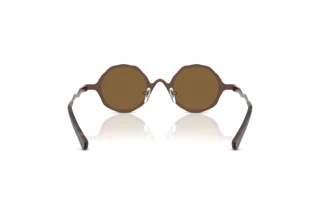 Vista posteriore Emporio Armani EA2166 (300473)
