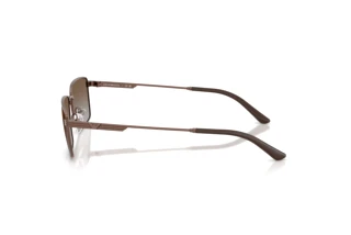 Vue latérale Emporio Armani EA2169 (300689)