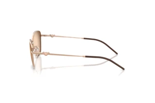 Vista laterale Emporio Armani EA2170 (301113)