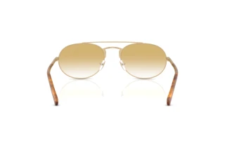 Vue arrière Emporio Armani EA2171 (30022Q)