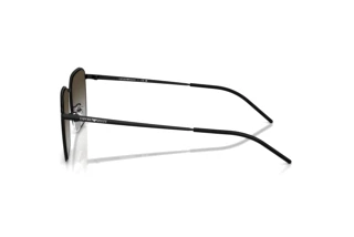 Seitenansicht Emporio Armani EA2172D (300113)