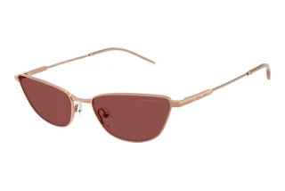 Vista frontale Emporio Armani EA2174B (301175)
