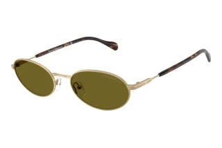 Vue de face Emporio Armani EA2175 (3002/2)
