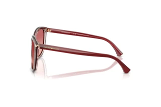 Vue latérale Emporio Armani EA4060 (6377A5)