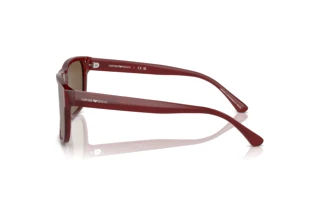 Seitenansicht Emporio Armani EA4163 (507573)