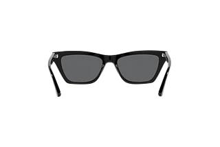 Vue arrière Emporio Armani EA4169 (587587)