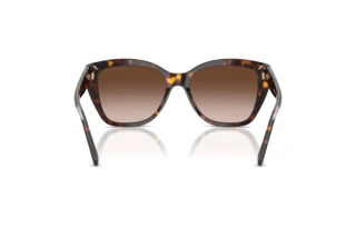 Vista posteriore Emporio Armani EA4198 (502613)