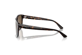 Vue latérale Emporio Armani EA4208 (605273)