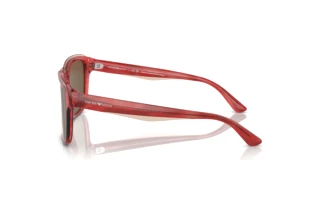 Vue latérale Emporio Armani EA4208 (605373)