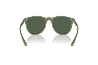 Vue arrière Emporio Armani EA4210 (542471)