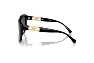 Vue latérale Emporio Armani EA4214U (50178G)