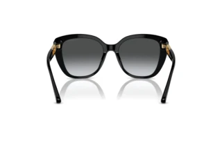 Vue arrière Emporio Armani EA4214U (50178G)