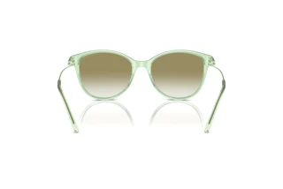 Vue arrière Emporio Armani EA4220 (61078E)