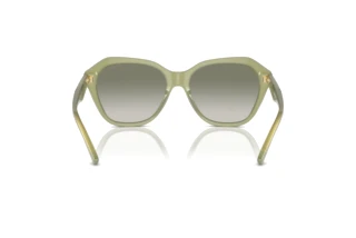 Vue arrière Emporio Armani EA4221 (61168E)