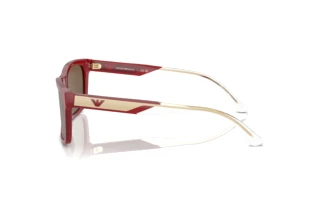 Vue latérale Emporio Armani EA4224 (609373)