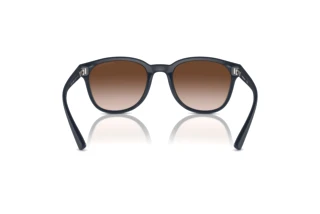 Vue arrière Emporio Armani EA4225U (508813)
