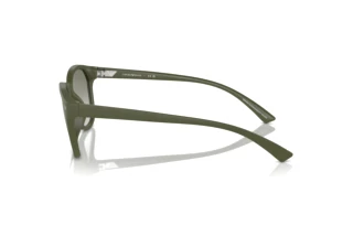 Vue latérale Emporio Armani EA4225U (60998E)