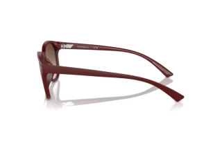 Seitenansicht Emporio Armani EA4225U (610113)