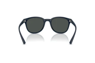Vue arrière Emporio Armani EA4225U (618587)