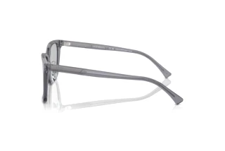 Vue latérale Emporio Armani EA4226D (502987)