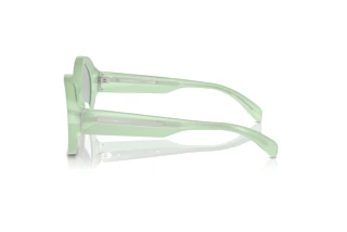 Vista laterale Emporio Armani EA4231U (615487)