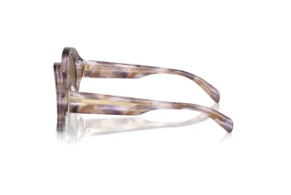 Vue latérale Emporio Armani EA4231U (615673)