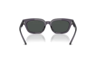 Rückansicht Emporio Armani EA4233U (610687)