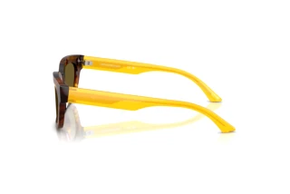 Vue latérale Emporio Armani EA4233U (618173)