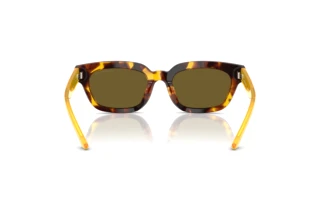Vue arrière Emporio Armani EA4233U (618173)