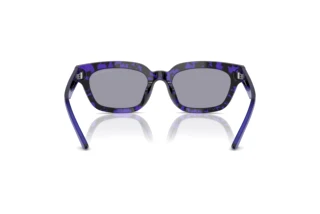 Vue arrière Emporio Armani EA4233U (618380)