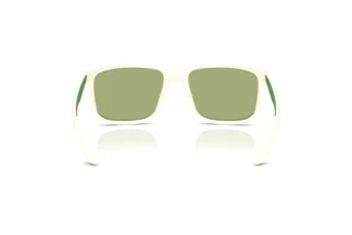 Vue arrière Emporio Armani EA4234U (618782)