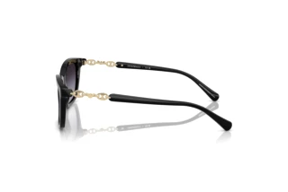 Seitenansicht Emporio Armani EA4238 (50178G)