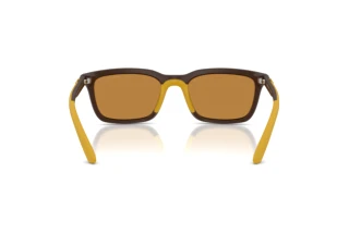 Vue arrière Emporio Armani EA4249U (625893)
