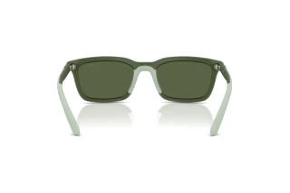 Vista posteriore Emporio Armani EA4249U (625971)