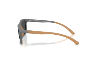 Vista laterale Emporio Armani EA4249U (626187)