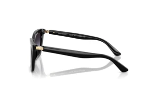 Vue latérale Emporio Armani EA4250U (50178G)