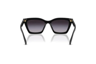 Vue arrière Emporio Armani EA4250U (50178G)