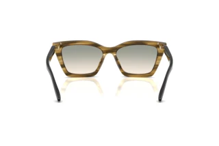 Vue arrière Emporio Armani EA4250U (62672C)