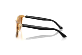 Seitenansicht Emporio Armani EA4250U (62692Q)