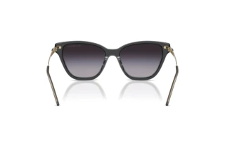 Rückansicht Emporio Armani EA4251 (62628G)