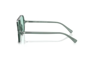 Vue latérale Emporio Armani EA4252U (627065)