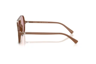 Seitenansicht Emporio Armani EA4252U (627173)
