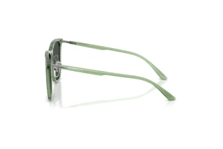 Vue latérale Emporio Armani EA4255D (536287)