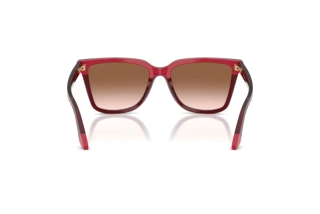 Vue arrière Emporio Armani EA4261 (632013)