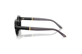 Vue latérale Emporio Armani EA4264U (501787)
