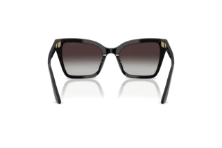 Vue arrière Emporio Armani EA4273BU (50178G)