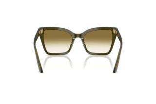 Vue arrière Emporio Armani EA4273BU (63788E)