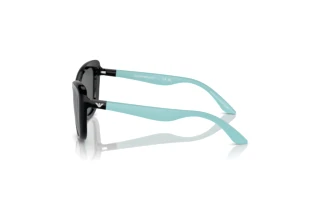 Seitenansicht Emporio Armani EK4004 (501787)